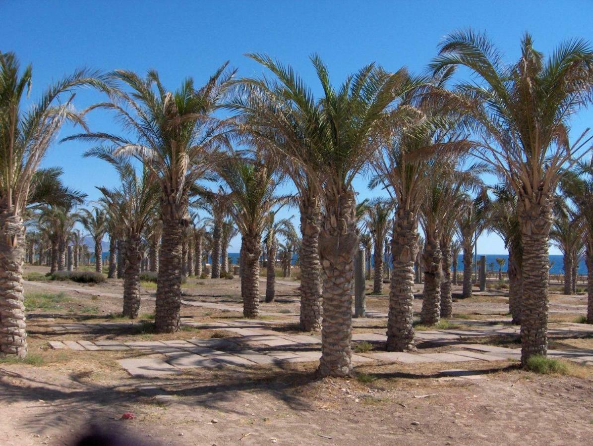 Appartement Golf Y Playa Junto Al Cabo De Gata à Almería Extérieur photo